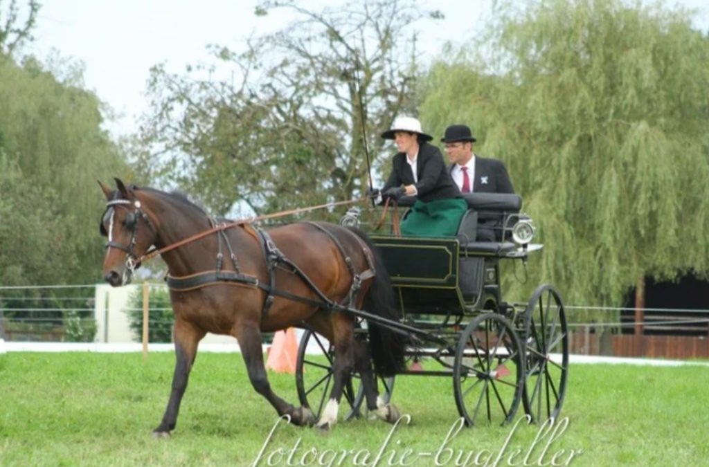 Fahrturnier Rothenburg 28.08.21