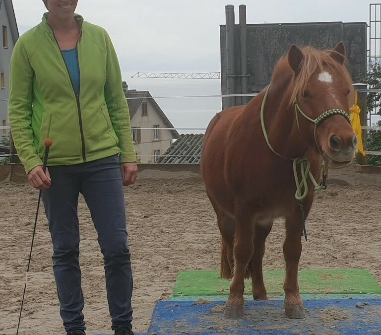 Horseagility Kurs bei uns!