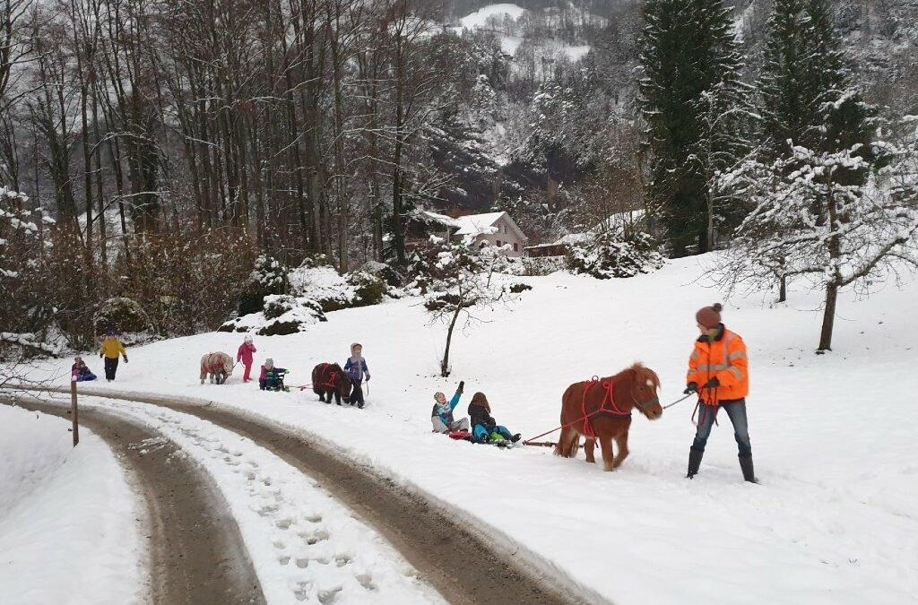 Schöner Schnee in Vitznau!