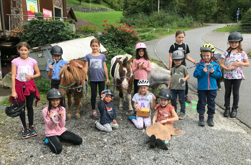 Ponyplauschnachmittag mit Schatzsuche am 10.9.22