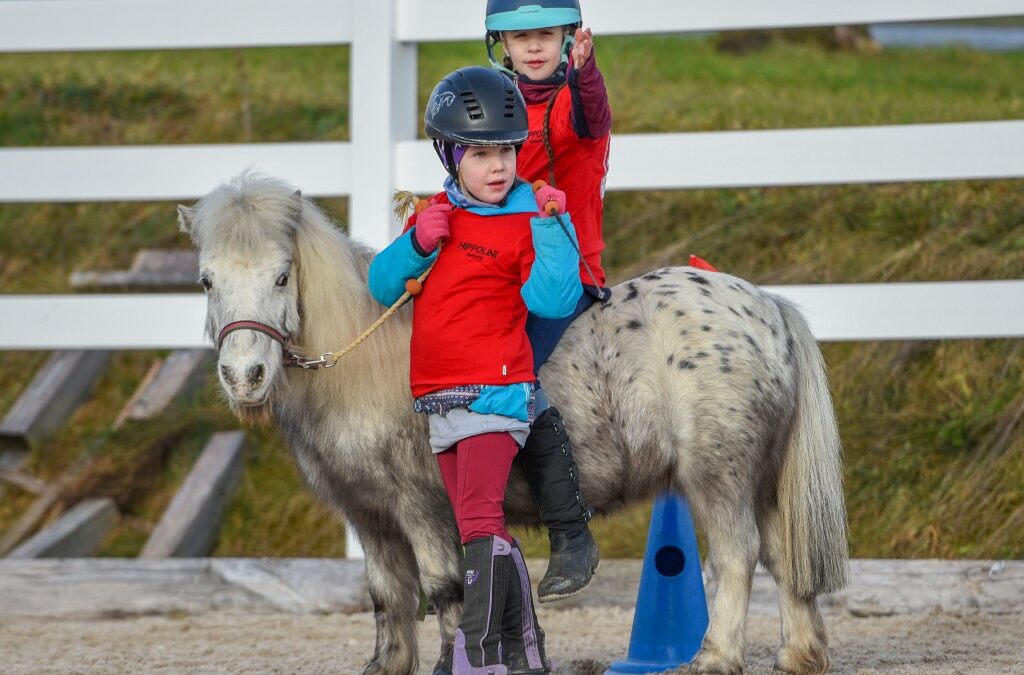 Neue Hippolini Kurse online