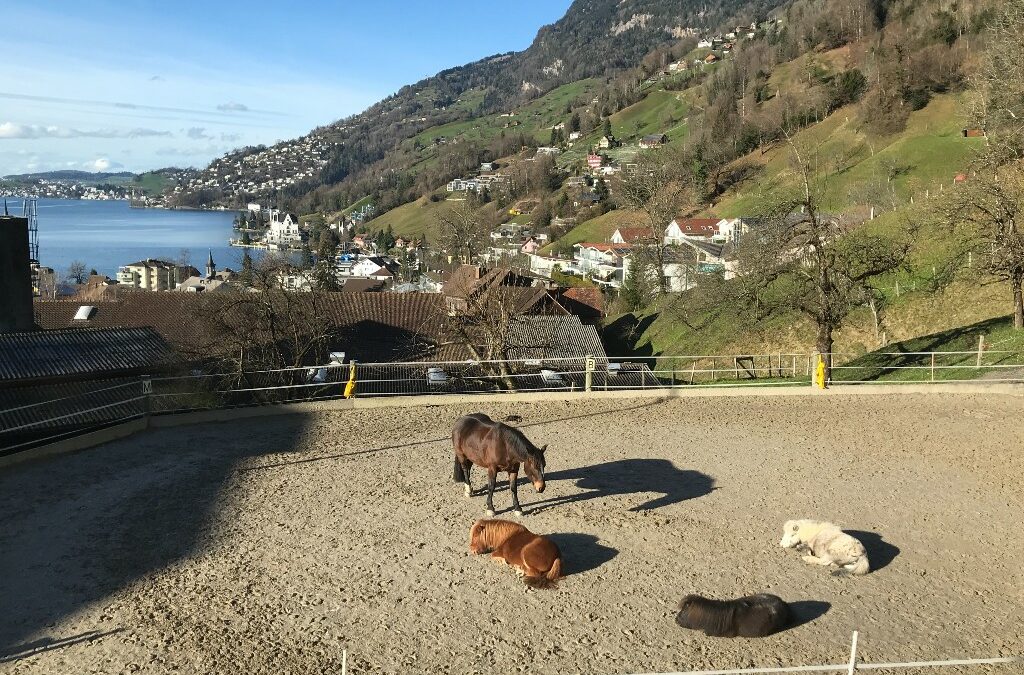 Neu auch auf Instagramm und Facebook